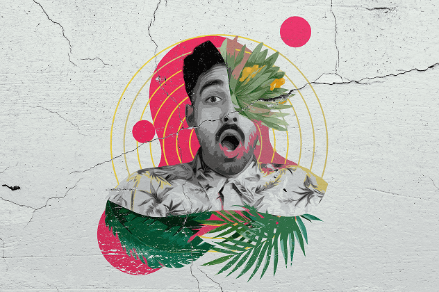 Creative asset libraries