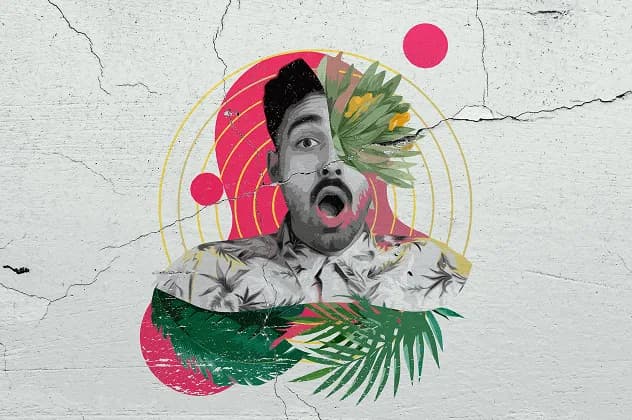 Creative asset libraries