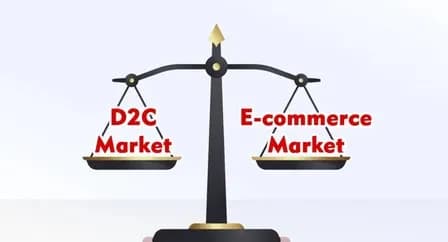 D2C or Ecommerce Market Place